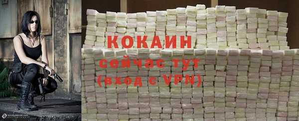 ECSTASY Магас