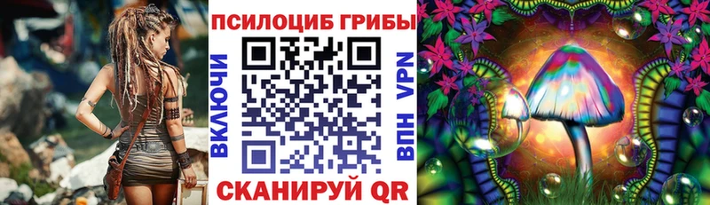 Псилоцибиновые грибы Psilocybe  Электроугли 